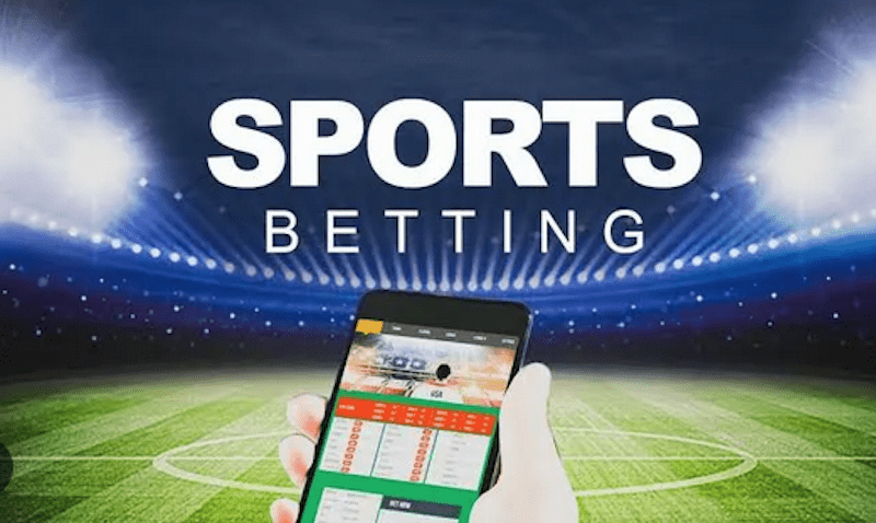 Everything You Need to Know About easywin bet 4