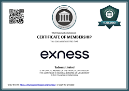 Understanding IB Exness Unlocking New Opportunities in Forex Trading Understanding IB Exness Unlocking New Opportunities in Forex Trading